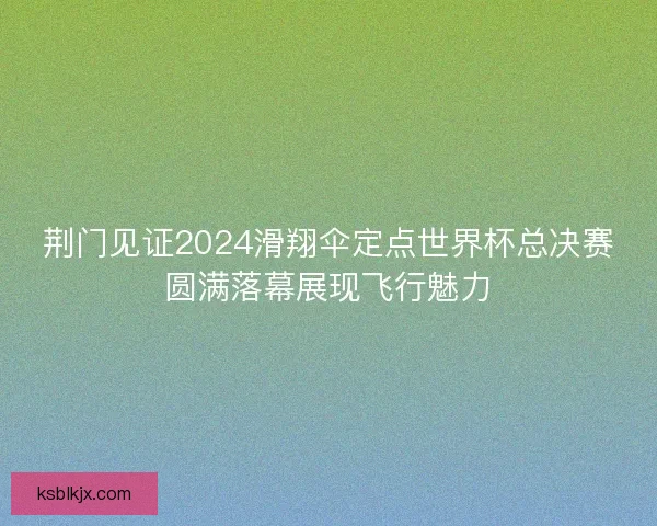 荆门见证2024滑翔伞定点世界杯总决赛圆满落幕展现飞行魅力
