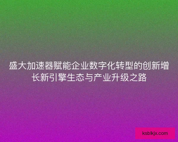 盛大加速器赋能企业数字化转型的创新增长新引擎生态与产业升级之路 盛大加速器赋能企业数字化转型的创新增长新引擎生态与产业升级之路