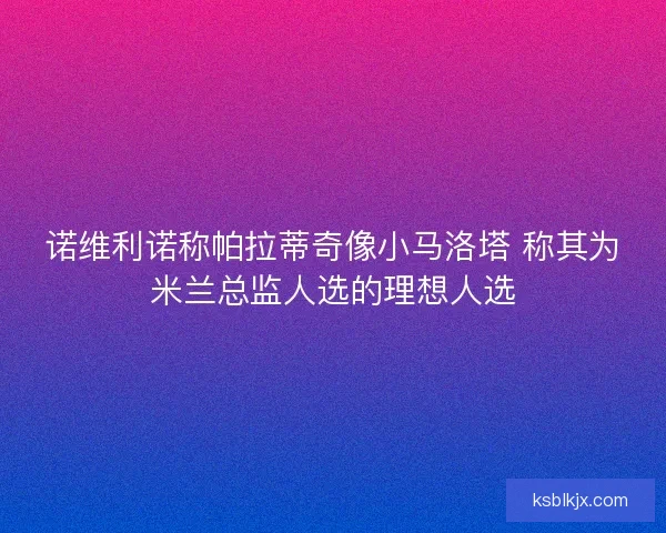 诺维利诺称帕拉蒂奇像小马洛塔 称其为米兰总监人选的理想人选