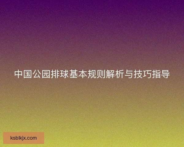 中国公园排球基本规则解析与技巧指导 中国公园排球基本规则解析与技巧指导